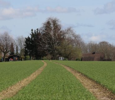 Erbpacht, Grundstück